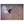 Canvas Bird