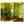 Kamerscherm Forest Clearing