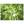 Afbeelding Treetops Forest