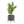Kunstpflanze Photinia Serratifolia