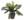 Plante artificielle Cycas-Palme