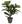 Plante artificielle Ficus Lyrata