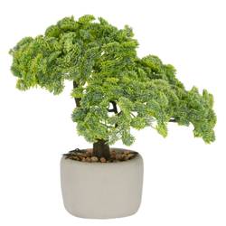 bonsai draht obi Bonsai Draht aus eloxiertem Aluminium, Schwarz – HappySeed main image 0