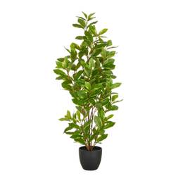 rhododendron obtusum kermesina rose Jetzt Japanische Azalee 'Kermesina Rose' online kaufen bei Bohlken  Pflanzenversand – Bohlken Pflanzenversand GbR main image 1