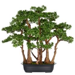 Kunstpflanze Bonsai Zeder kaufen | home24