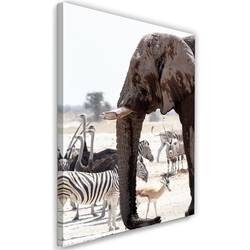 Bild Elefant und Afrikanische Tiere