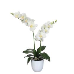 Lot de 2 orchidées artificielles en pot en pierre, 40 cm