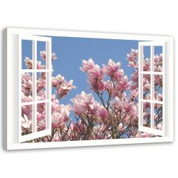 Bilder Fensterblick Blumen Rosa Natur