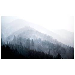 Leinwandbild Bäume im Nebel