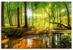 Leinwandbild Wald mit Bach