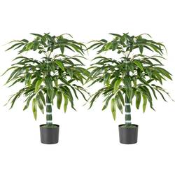 Knstliche Pflanze BOTANIC FACTORY kaufen | home24