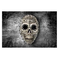 Bild Monochrome Skull