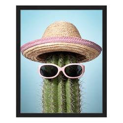 Bild Pink mexico cactus