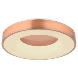 LAMPADA A LED SALLY RAME DA TAVOLO CM 12