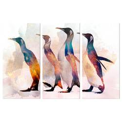Wandbild Penguin Wandering (3-teilig)