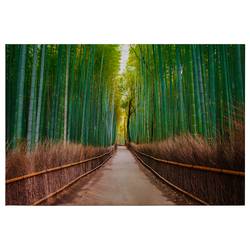 Leinwandbild Bambus Walk