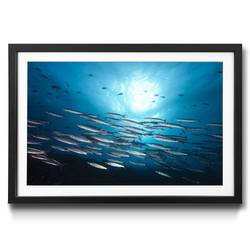 Gerahmtes Bild Shoal in Deep Blue