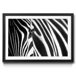 Gerahmtes Bild Animal Stripes