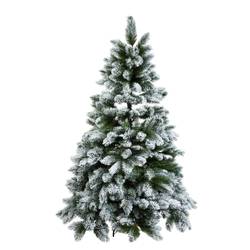 Weihnachtsbaum TREE OF THE MONTH