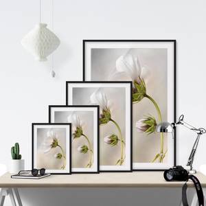 Bild Himmlischer Blütentraum I Kiefer teilmassiv - Schwarz - 40 x 55 cm