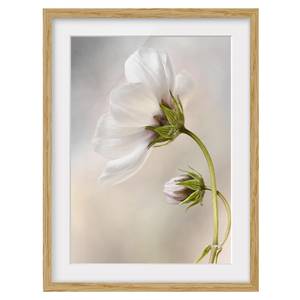 Bild Himmlischer Blütentraum IV Eiche teilmassiv - Eiche - 50 x 70 cm