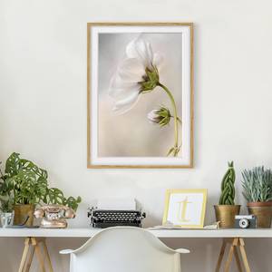 Impression d’art fleur céleste IV Partiellement en chêne massif - Chêne - 50 x 70 cm