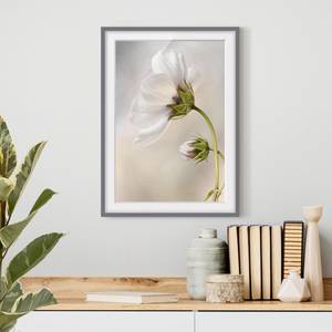 Bild Himmlischer Blütentraum III Kiefer teilmassiv - Grau - 30 x 40 cm