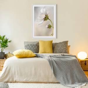 Impression d’art fleur céleste II Partiellement en pin massif - Blanc - 40 x 55 cm