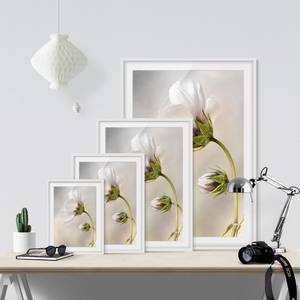Bild Himmlischer Blütentraum II Kiefer teilmassiv - Weiß - 50 x 70 cm
