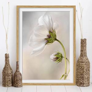 Bild Himmlischer Blütentraum IV Eiche teilmassiv - Eiche - 40 x 55 cm