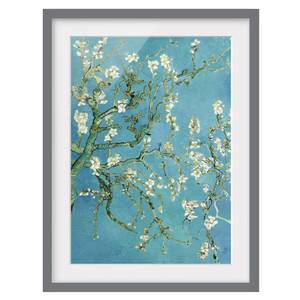 Impression d’art fleurs d’amandier III Partiellement en pin massif - Gris - 40 x 55 cm