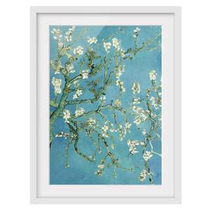 Impression d’art fleurs d’amandier II Partiellement en pin massif - Blanc - 70 x 100 cm