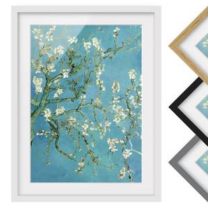 Impression d’art fleurs d’amandier II Partiellement en pin massif - Blanc - 70 x 100 cm