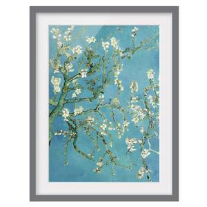 Impression d’art fleurs d’amandier III Partiellement en pin massif - Gris - 50 x 70 cm