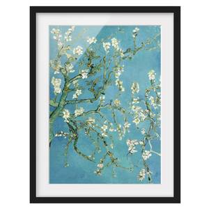 Impression d’art fleurs d’amandier I Pin massif - Noir - 50 x 70 cm