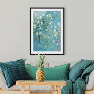 Impression d’art fleurs d’amandier I Pin massif - Noir - 50 x 70 cm