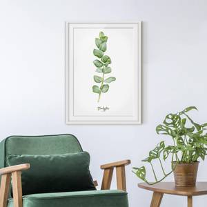 Impression aquarelle Eucalyptus II Partiellement en pin massif - Blanc - 30 x 40 cm