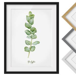 Afbeelding Aquarel  Eucalyptus I deels massief grenenhout - zwart - 40 x 55 cm