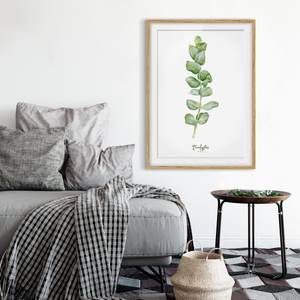 Afbeelding Aquarel  Eucalyptus IV deels massief eikenhout- eikenhout - 50 x 70 cm