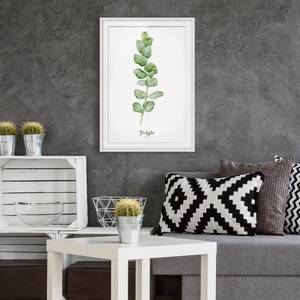 Bild Aquarell Botanik Eukalyptus II Kiefer teilmassiv - Weiß - 70 x 100 cm