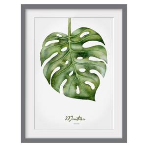 Impression d’art aquarelle Monstera III Partiellement en pin massif - Gris - 50 x 70 cm