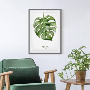 Afbeelding Aquarel Botanica Monstera III deels massief grenenhout - grijs - 50 x 70 cm