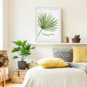 Afbeelding Aquarel Trachycarpus II deels massief grenenhout - wit - 30 x 40 cm