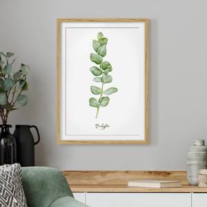 Impression aquarelle Eucalyptus IV Partiellement en chêne massif - Chêne - 30 x 40 cm