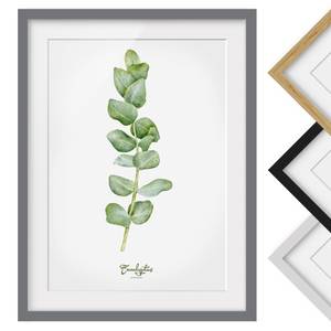 Impression aquarelle Eucalyptus III Partiellement en pin massif - Gris - 50 x 70 cm