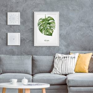 Impression d’art aquarelle Monstera II Partiellement en pin massif - Blanc - 30 x 40 cm