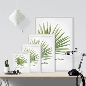 Impression aquarelle Trachycarpus II Partiellement en pin massif - Blanc - 50 x 70 cm