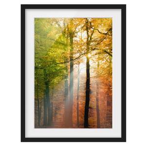 Afbeelding Morning Light I deels massief grenenhout - zwart - 50 x 70 cm