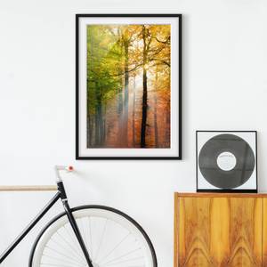 Afbeelding Morning Light I deels massief grenenhout - zwart - 50 x 70 cm