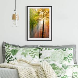 Afbeelding Morning Light I deels massief grenenhout - zwart - 50 x 70 cm